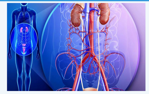 Medical Oncology